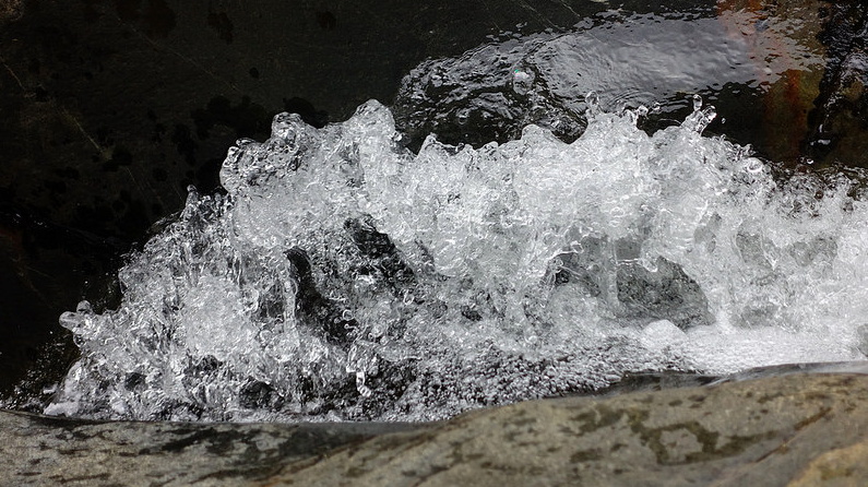 Wasser3 (Foto: K. Happe)
